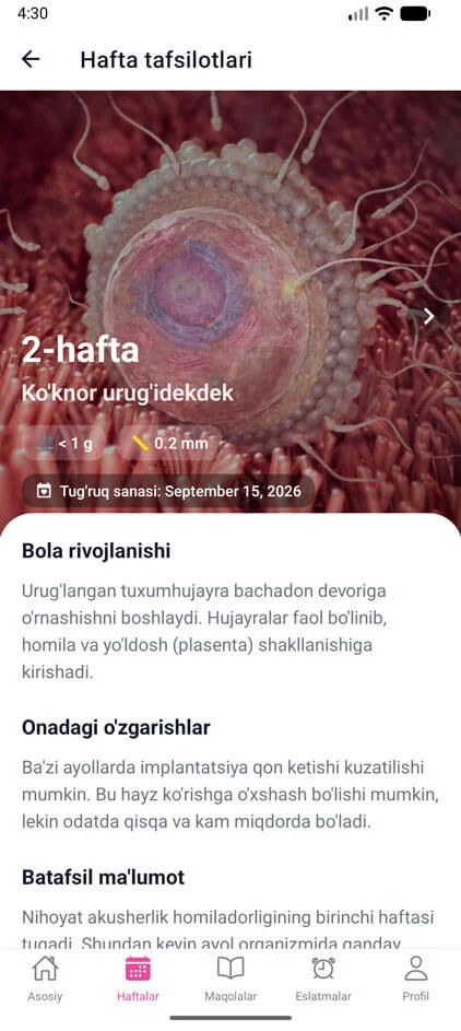 Homila24 Screenshot 3